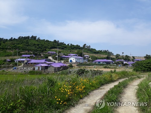 안좌도 퍼플 섬