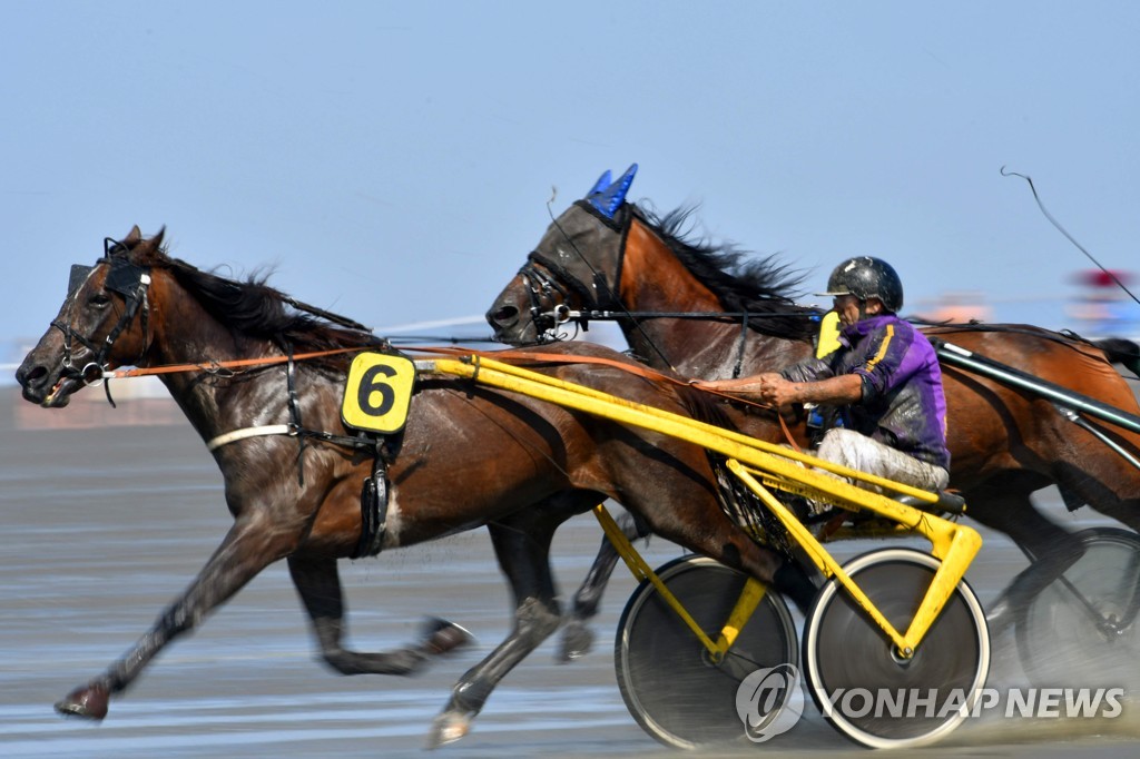 GERMANY-TRADITION-HORSE RACE-MUD-FEATURE
