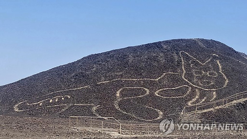 BOLIVIA-ARCHAEOLOGY-NASCA LINES-CAT