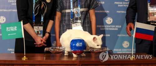 개막전 러시아 승리를 예상한 점쟁이 고양이 아킬레스