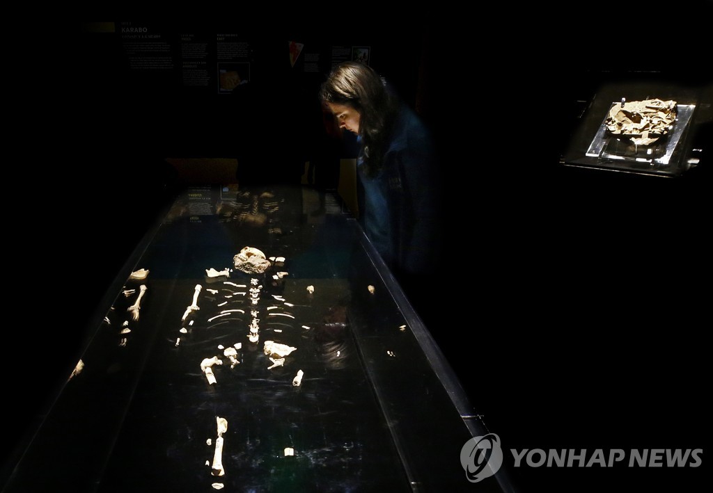 USA PEROT MUSEUM EXHIBIT ORIGINS FOSSILS FROM THE CRADLE OF HUMA