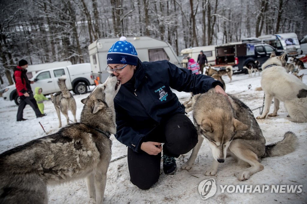 CZECH REPUBLIC PHOTO SET DOG SLED RACE