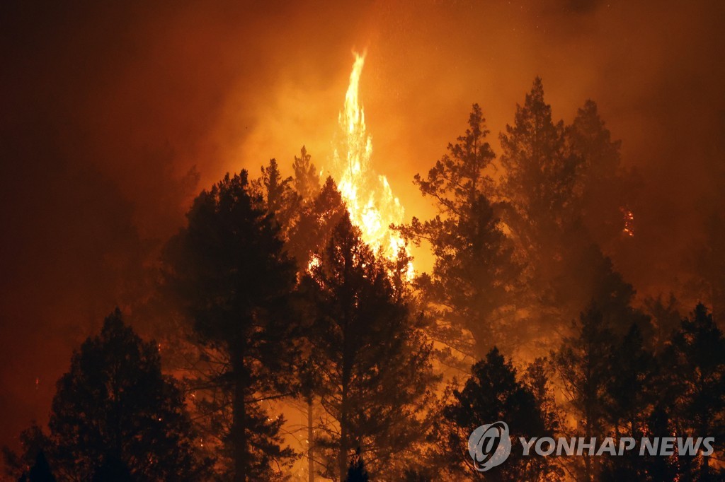 USA CALIFORNIA FIRE