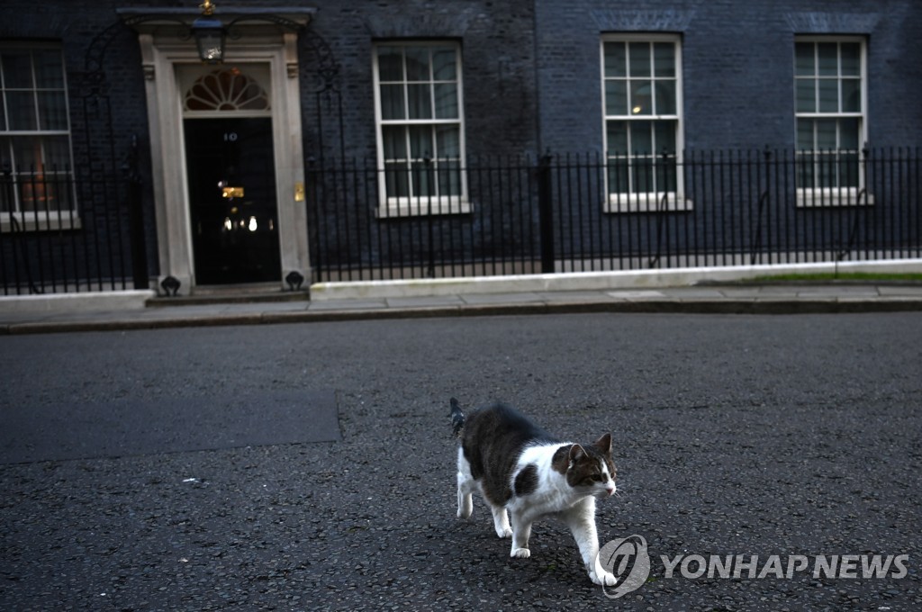 영국 총리실 '쥐잡이 수석 보좌관' 고양이 래리