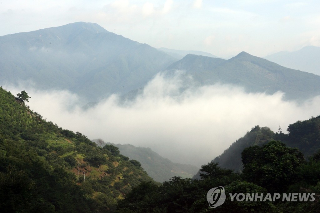 지리산 운해 장관