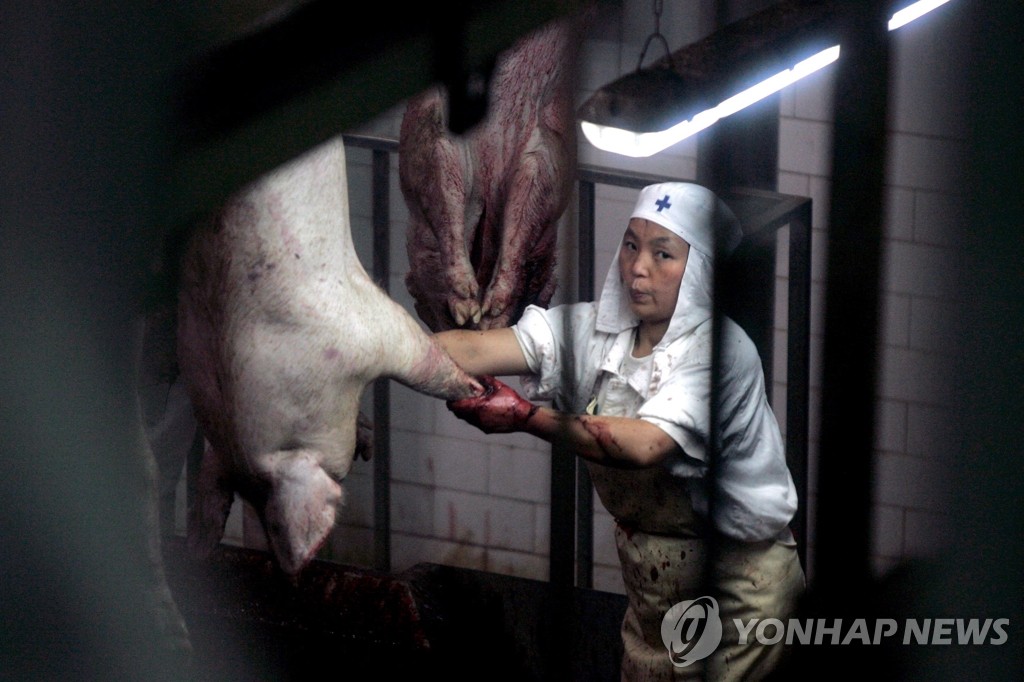 중국 돼지고기 가공(EPA=연합뉴스 자료사진)