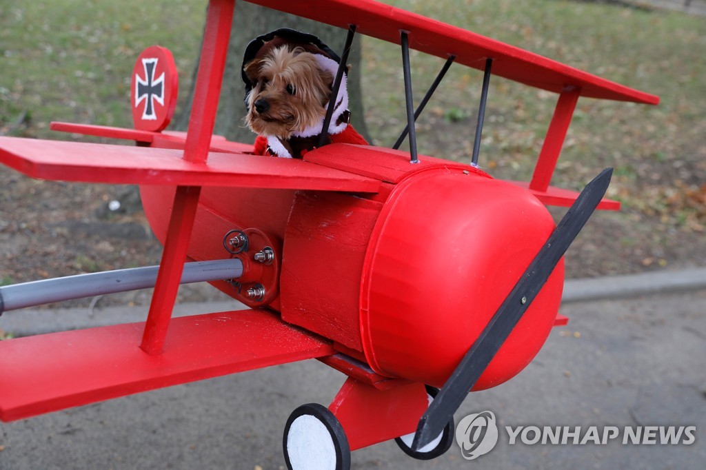 USA-HALLOWEEN/DOGS