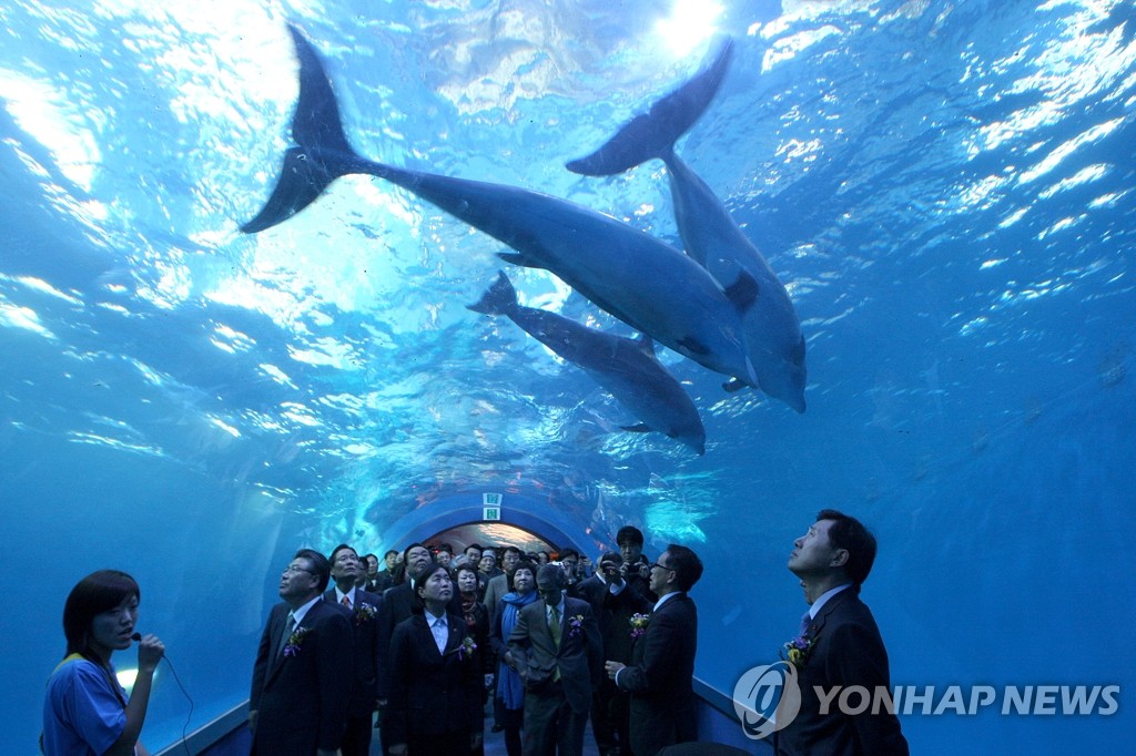울산 고래생태체험관 돌고래 수족관
