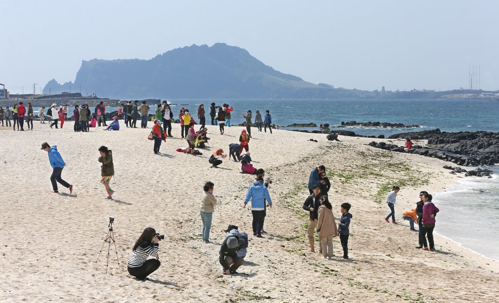 성산일출봉 배경 우도 홍조단괴