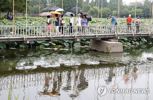전주 덕진공원(연합뉴스 자료사진)