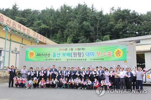 미국에 수출하는 울산배