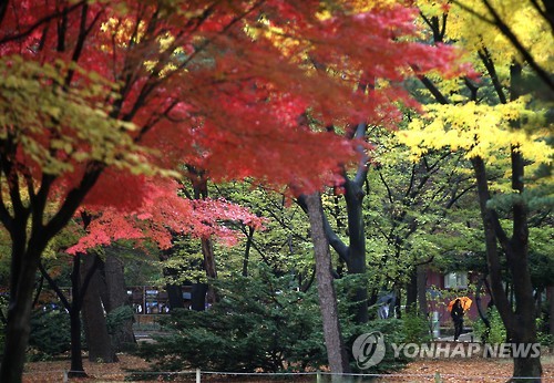 종묘 산책