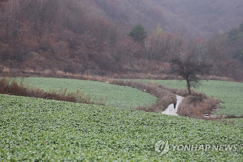 분단의 아픔 간직한 DMZ 펀치볼 둘레길