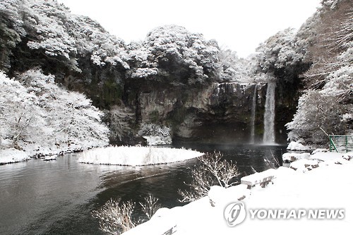 <최강한파> 천지연폭포 설경 '장관'