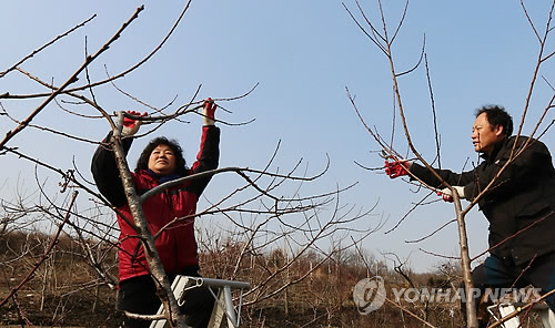 바빠진 농촌…농사 준비 나선 부부