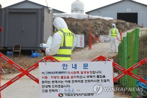 오리농가 AI바이러스 검출