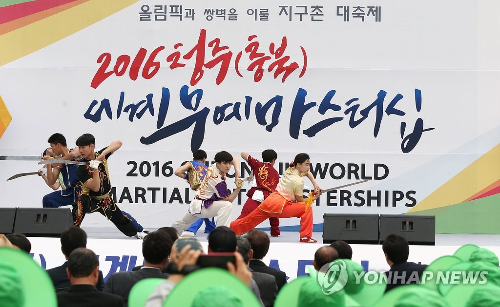 광화문광장에서 열린 세계무술공연