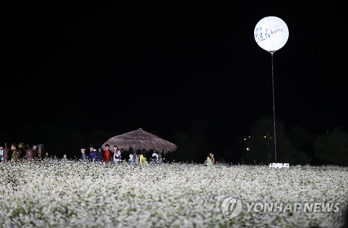 달빛과 어우러진 새하얀 메밀꽃