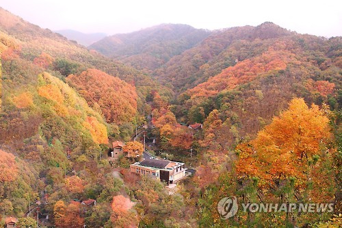 <날씨> '매서운 추위 물러난다'…서울 낮 16도(4일) - 1