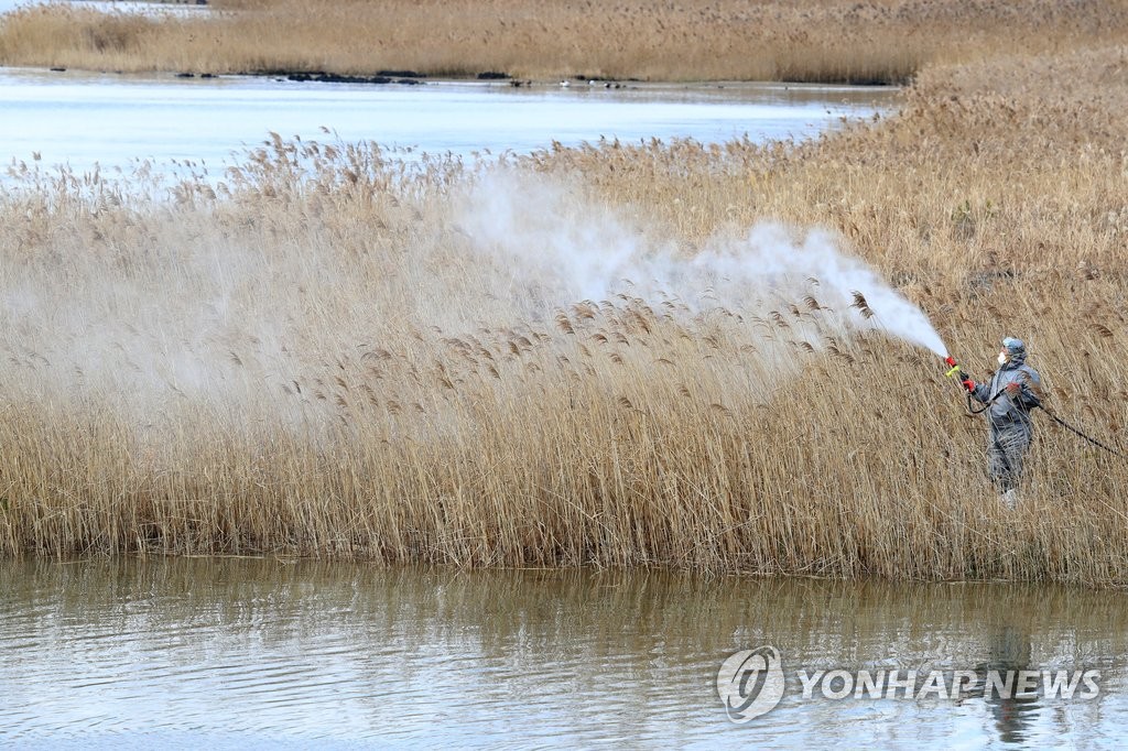 AI 바이러스 확산을 막아라