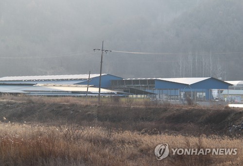 적막에 휩싸인 젖소농장
