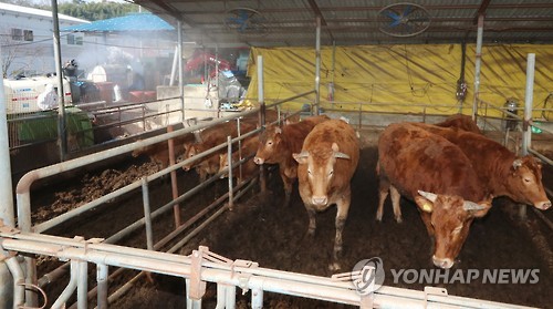 AI에 이어 구제역 '비상'