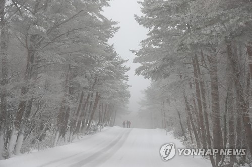 폭설 내린 한라산