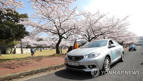 벚꽃길 달리는 자동차