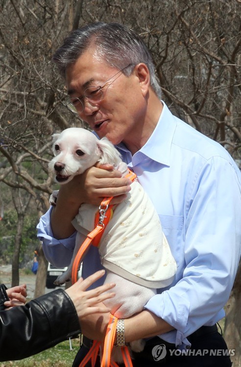 반려동물과 문재인