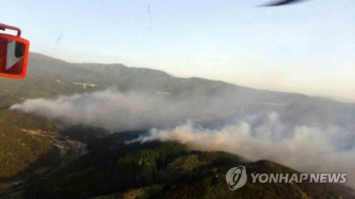 되살아난 강릉 산불