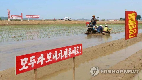 북한 평안남도 원화리 농장, 첫 모내기 시작