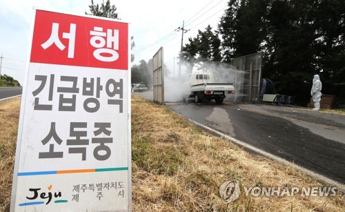 제주에 더는 AI 전파 안돼
