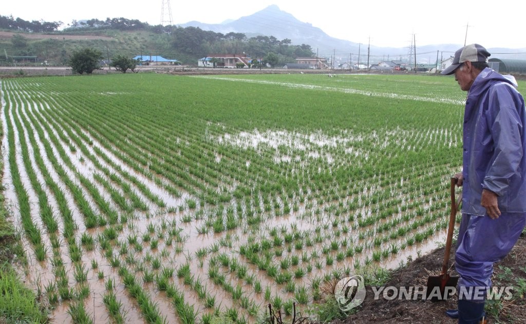 "논에 이 정도 물은 있어야지"