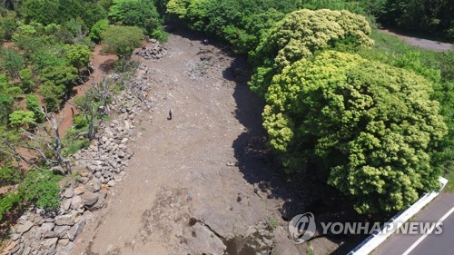 전직 조경업자가 훼손한 천미천