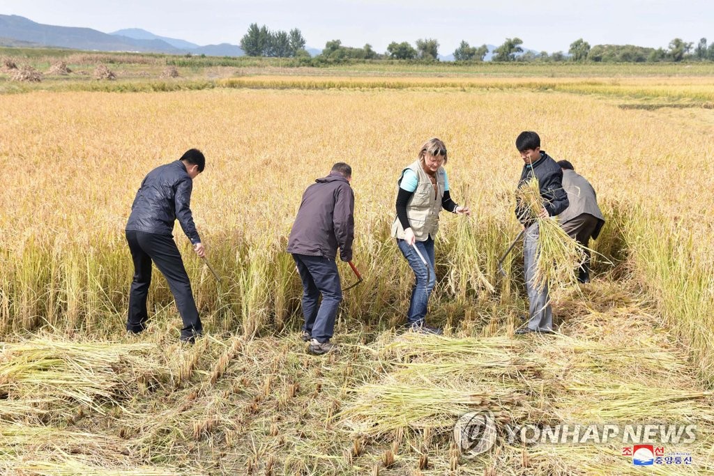 북한에서 열린 세계식량의 날 행사