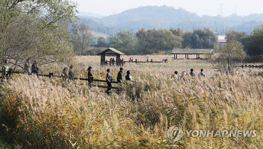 가을을 느끼다