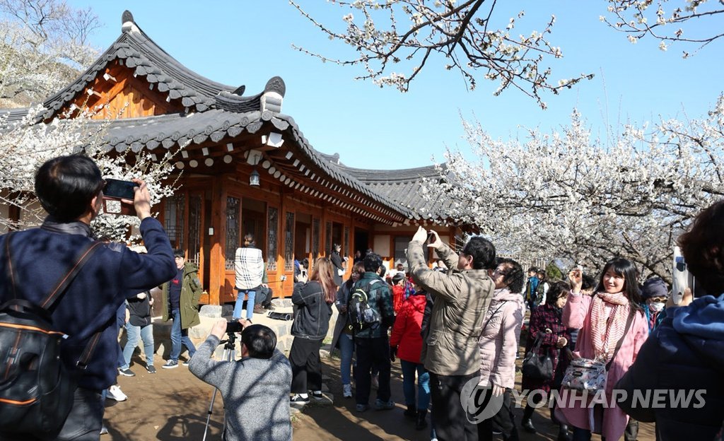 봄꽃도 기분도 '활짝