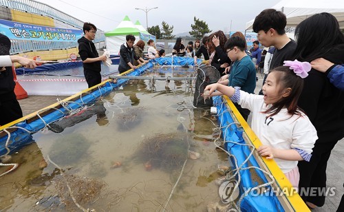 제가 주꾸미 잡았어요