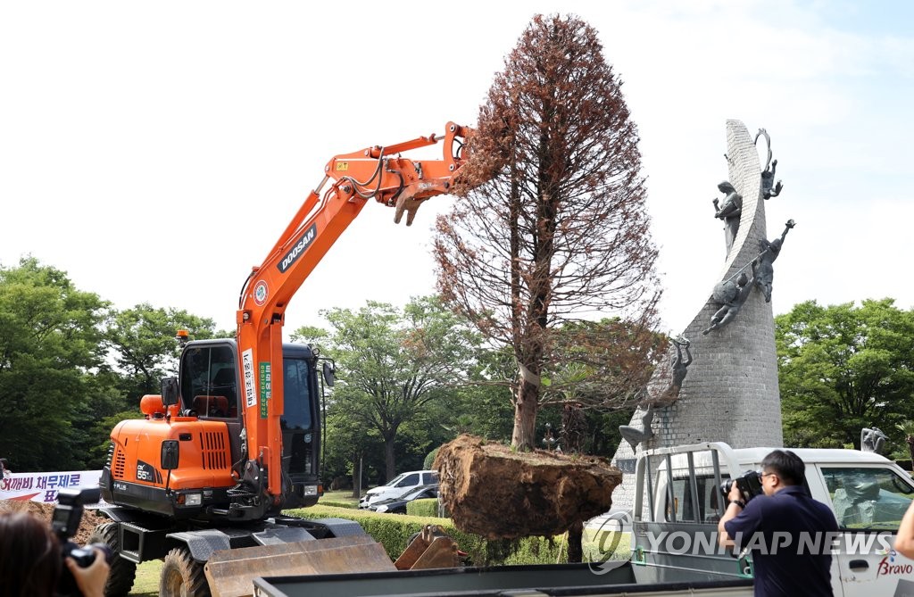 뽑히는 홍준표 기념식수