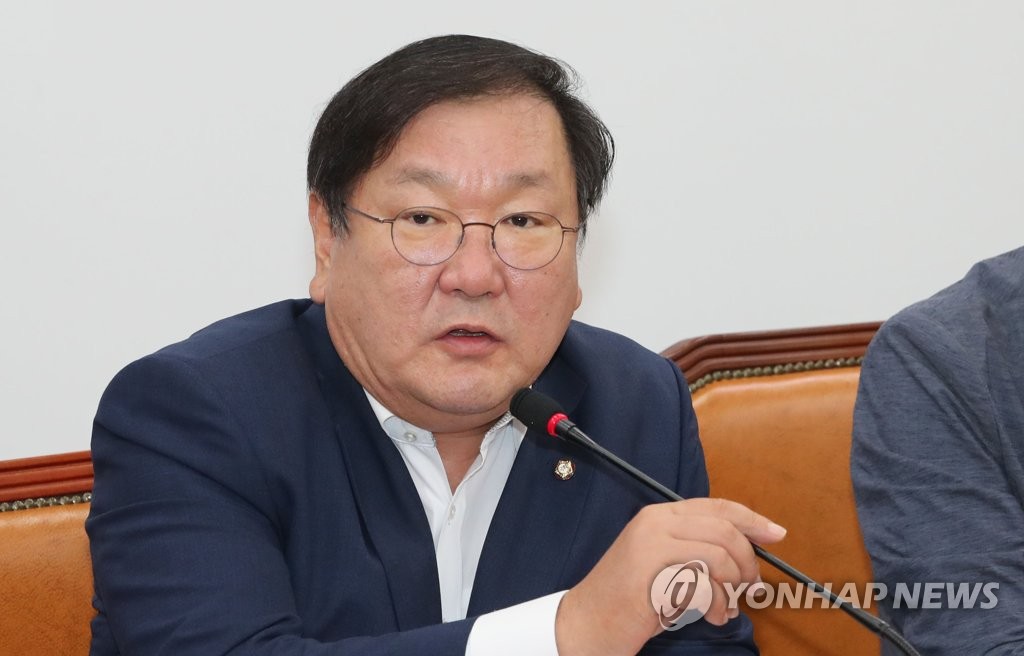 발언하는 김태년 정책위의장