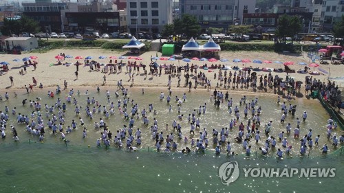 하늘에서 본 오징어 맨손잡기 축제