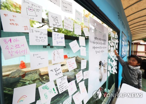 통키야 하늘나라에서는 행복해