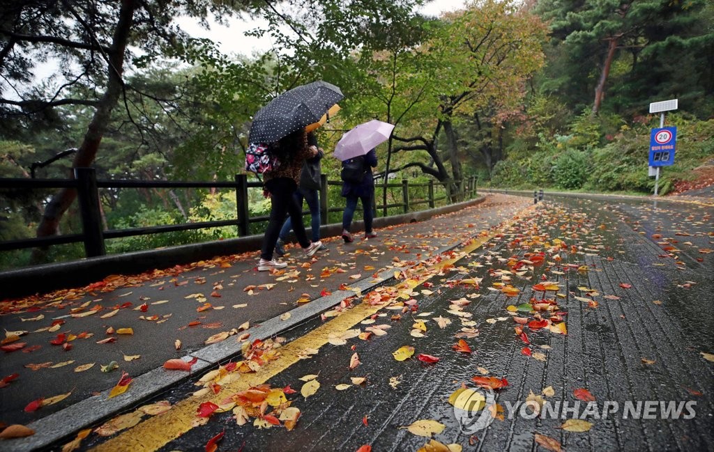 가을비