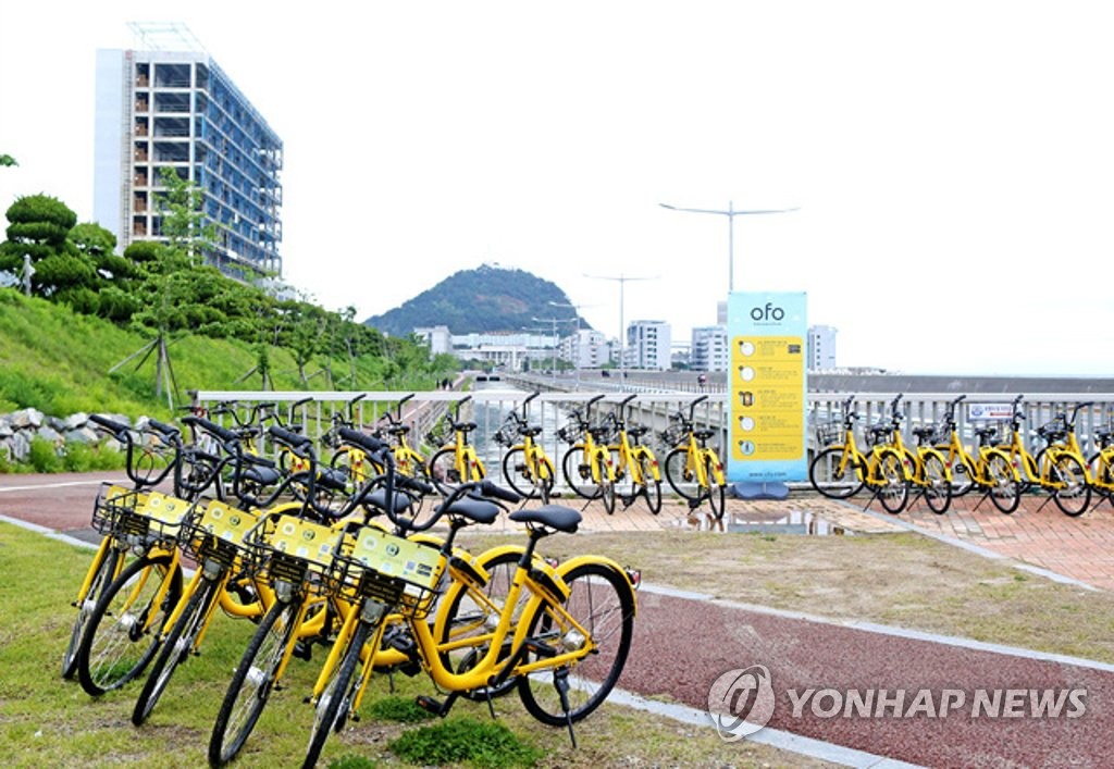 작년 4월 한국해양대 진입로에 배치됐던 '오포 자전거'