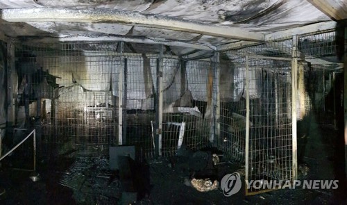 유기동물보호소 화재로 유기견 등 260여 마리 소사