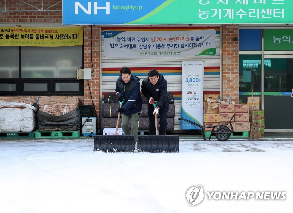 얼기 전에 눈 치웁니다