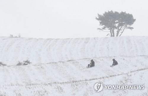 '제주는 겨울도 신나요'