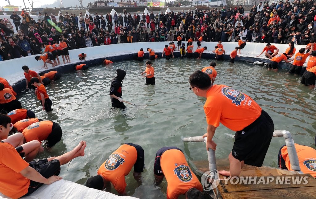 산천어 맨손잡기 인기
