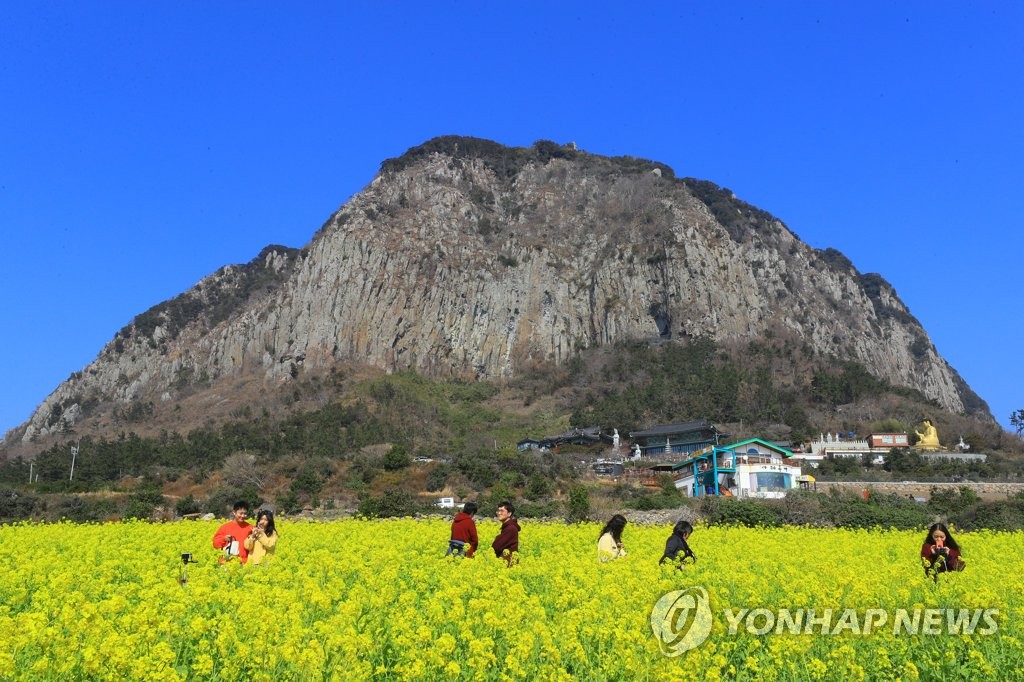 Primavera en la isla de Jeju Primavera en la isla de Jeju