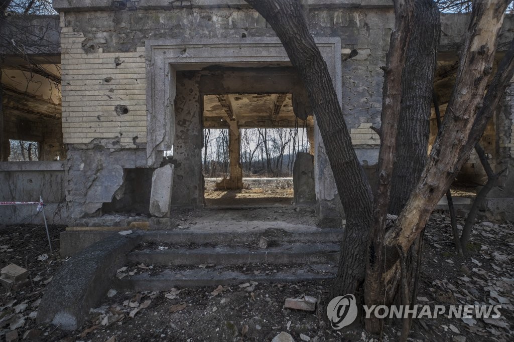 전쟁의 상처 뒤로 자란 나무들